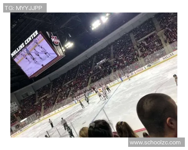 足球明星最大迷妹的追星之路与心路历程揭秘